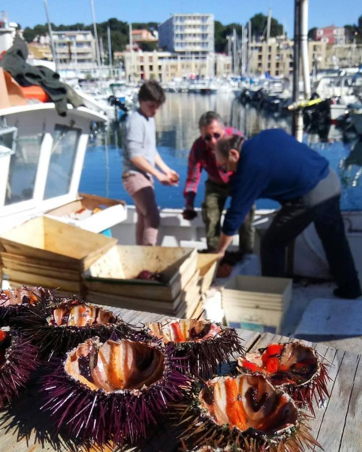 200M De La Plage ,3Mn Du Port A 50M Du Centre Ville Carry-le-Rouet Kültér fotó